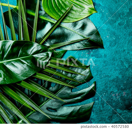 Creative tropical leaves background. Trandy tropical leaves on turquoise slate background - color of 40572580