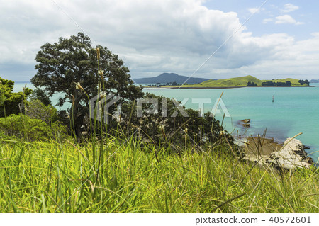 New Zealand Auckland Backland Beach Rangitoto from Music Point New Zealand Auckland Backland Beach Rangitoto from Music Point 40572601