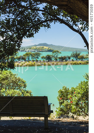 Landscape from New Zealand Oakland Dove-Meyer Robinson Park Landscape from New Zealand Oakland Dove-Meyer Robinson Park 40573089