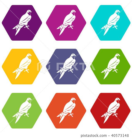 Falcon icon set color hexahedron 40573148
