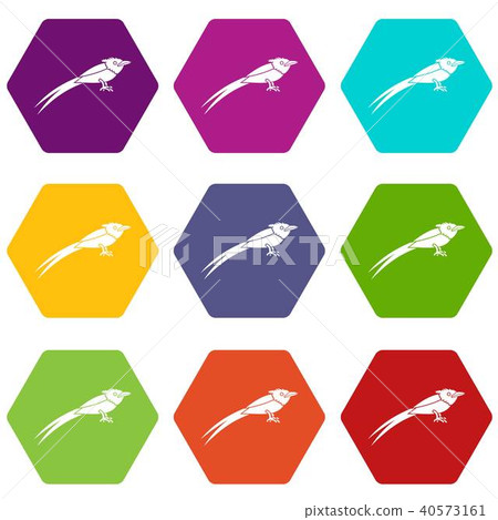 Asian paradise flycatcher icon set color hexahedron 40573161