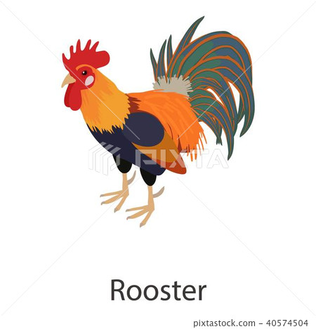Rooster icon, isometric style Rooster icon, isometric style 40574504