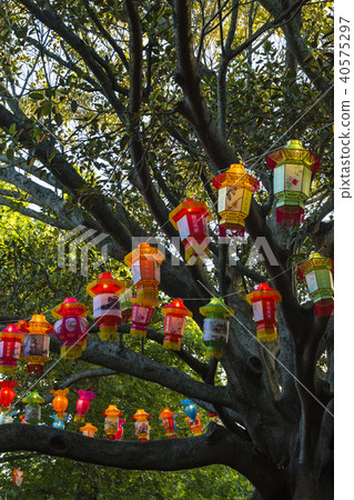 New Zealand Auckland Lantern Festival 40575297