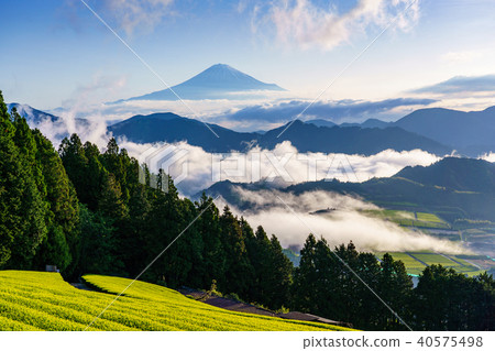 (靜岡縣)富士山和Oyunkai (靜岡縣)富士山和Oyunkai 40575498