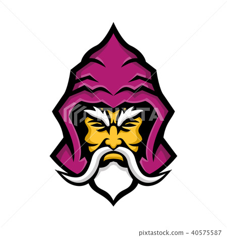 Wizard Head Front Mascot Wizard Head Front Mascot 40575587