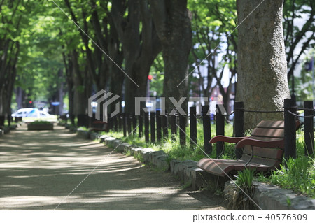 《Miyagi Prefecture》Sendai・Jozenji Street 《Miyagi Prefecture》Sendai・Jozenji Street 40576309
