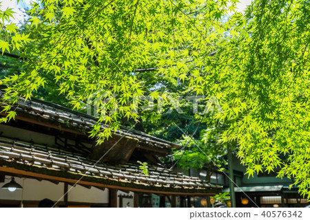 Cityscape of deep green temple Cityscape of deep green temple 40576342