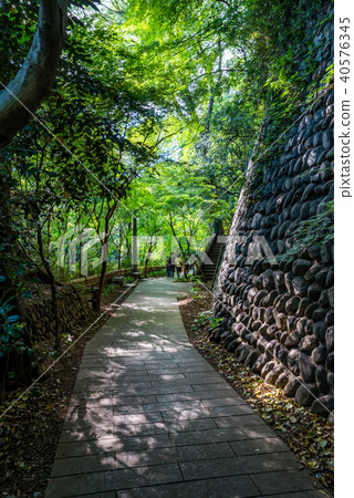 深綠寺廟都市風景 40576345