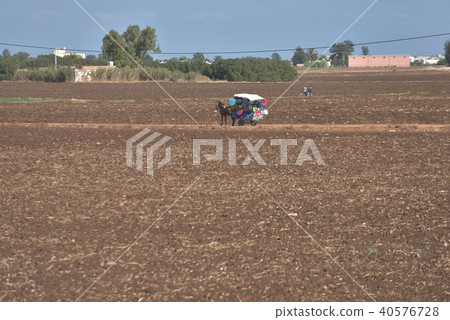 Landscape of the Marrakech suburbs of Morocco Landscape of the Marrakech suburbs of Morocco 40576728