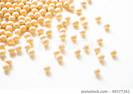 大豆 大豆 40577261