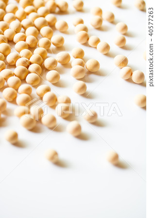 大豆 大豆 40577263