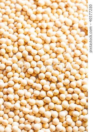 大豆 大豆 40577280