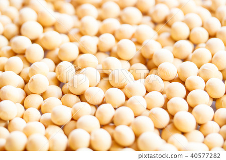 大豆 大豆 40577282