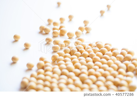 大豆 大豆 40577286