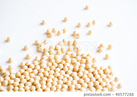 大豆 大豆 40577288