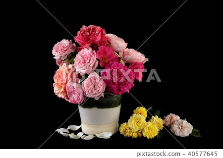 Beautiful rose isolated on black background. Beautiful rose isolated on black background. 40577645
