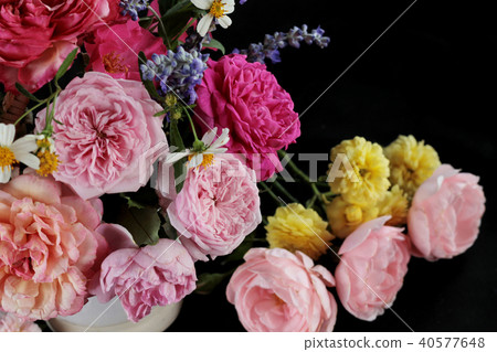 Beautiful rose isolated on black background. Beautiful rose isolated on black background. 40577648
