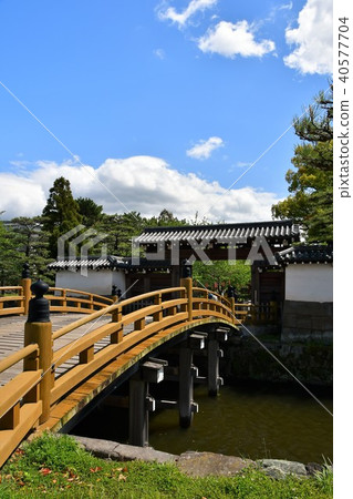 Wakayama castle in spring 40577704