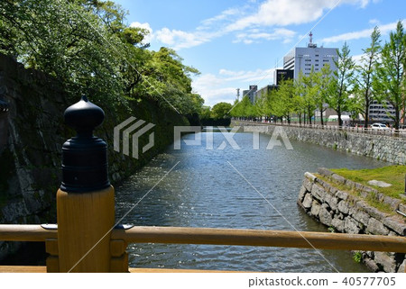 和歌山城堡在春天 40577705