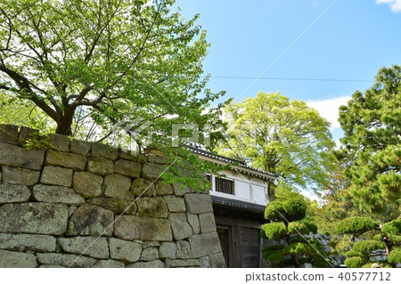 Wakayama castle in spring Wakayama castle in spring 40577712