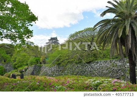 Wakayama castle in spring Wakayama castle in spring 40577713