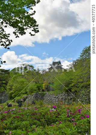 和歌山城堡在春天 40577715