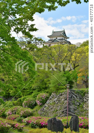 和歌山城堡在春天 照片素材 圖片 圖庫