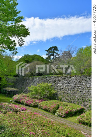 Wakayama castle in spring Wakayama castle in spring 40577720