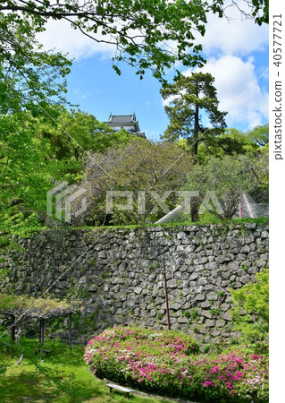 Wakayama castle in spring 40577721