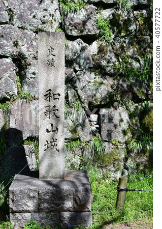 和歌山城堡在春天 40577722