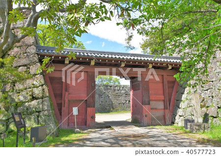 Wakayama castle in spring 40577723
