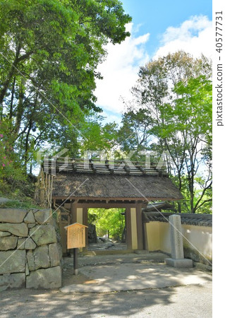 和歌山城堡在春天 40577731