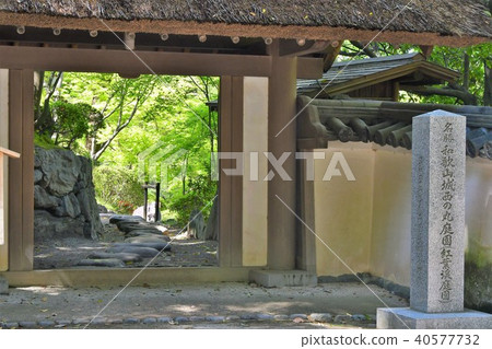 和歌山城堡在春天 40577732