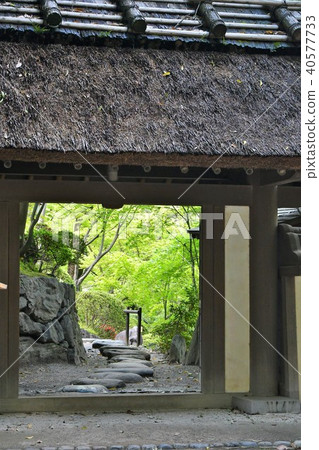 和歌山城堡在春天 40577733