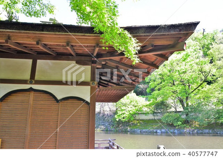 和歌山城堡在春天 和歌山城堡在春天 40577747