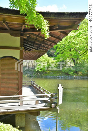 和歌山城堡在春天 和歌山城堡在春天 40577748