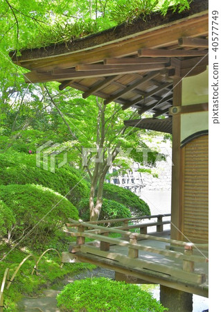 和歌山城堡在春天 40577749