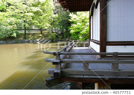 Wakayama castle in spring 40577751