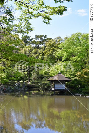 和歌山城堡在春天 和歌山城堡在春天 40577758