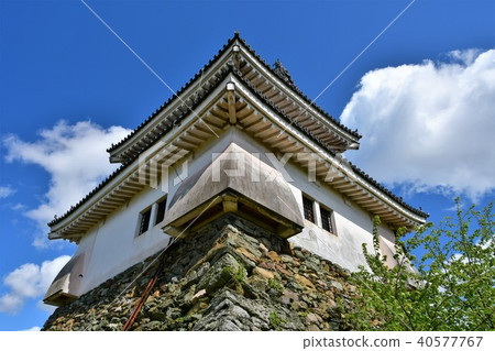 Wakayama castle in spring 40577767