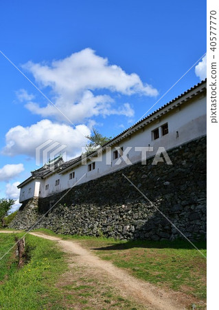 和歌山城堡在春天 40577770