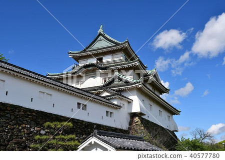 Wakayama castle in spring Wakayama castle in spring 40577780