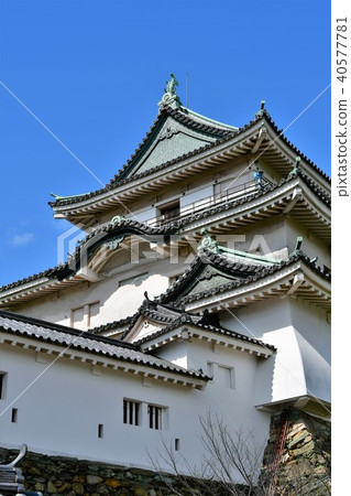 和歌山城堡在春天 和歌山城堡在春天 40577781