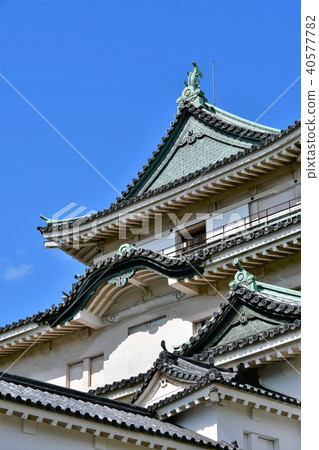 和歌山城堡在春天 40577782