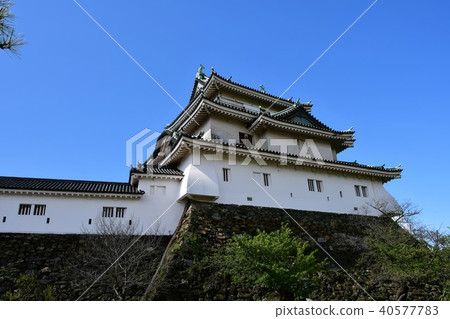 和歌山城堡在春天 和歌山城堡在春天 40577783