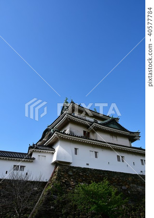 Wakayama castle in spring Wakayama castle in spring 40577784