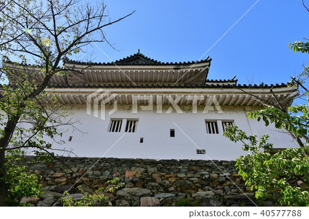 和歌山城堡在春天 40577788