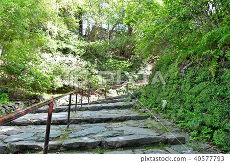 和歌山城堡在春天 和歌山城堡在春天 40577793