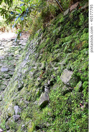 和歌山城堡在春天 40577795