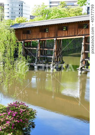 Wakayama castle in spring 40577799